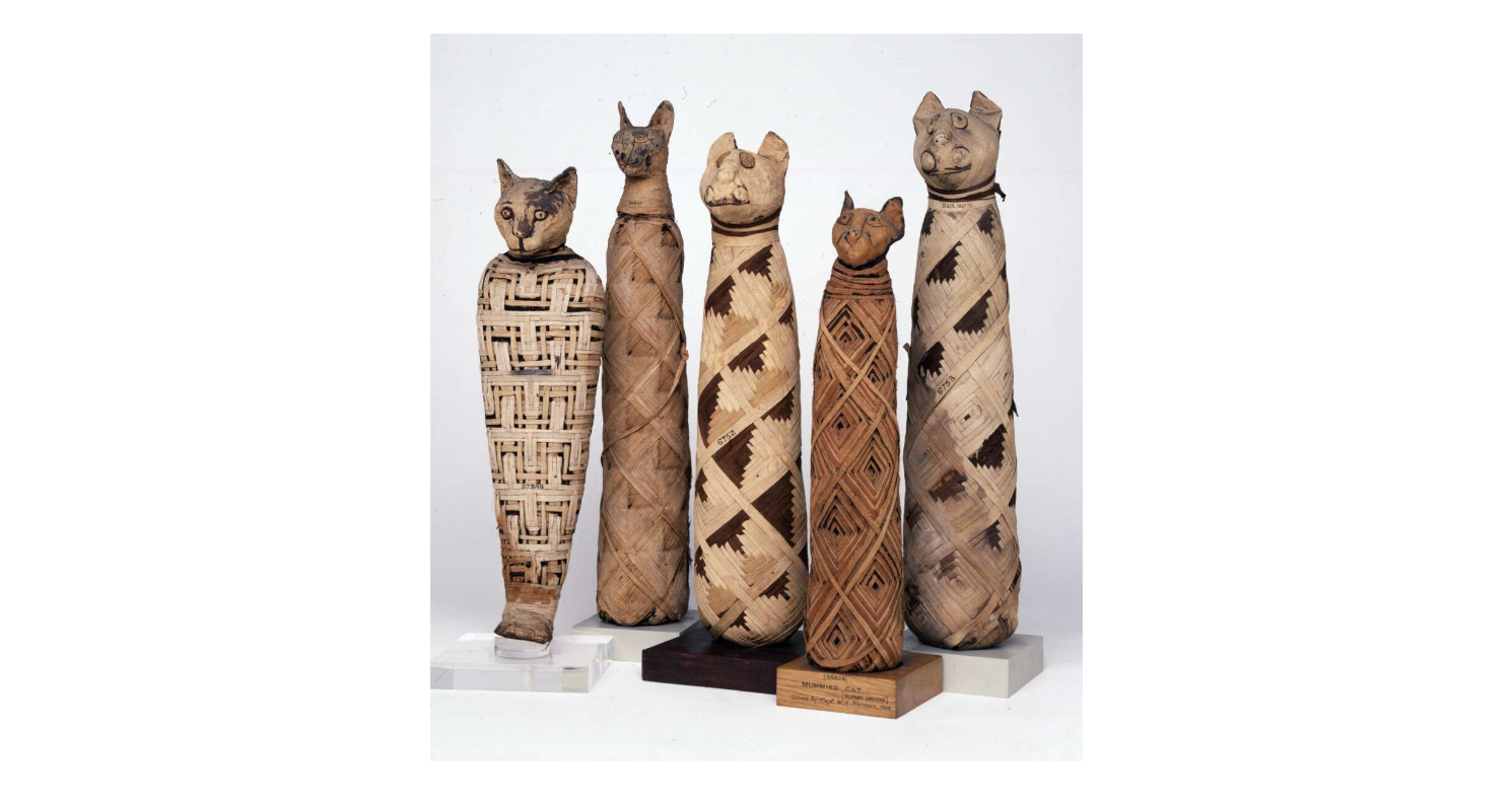 Set of Mummified Cats / Collection. (C) The British Museum. 